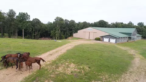 975 Sundance Rd, Piggott, AR 72454 photo 7