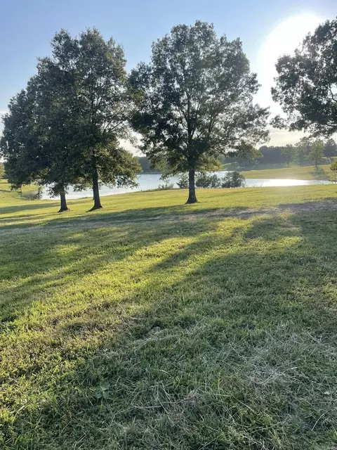 975 Sundance Rd, Piggott, AR 72454 photo 6