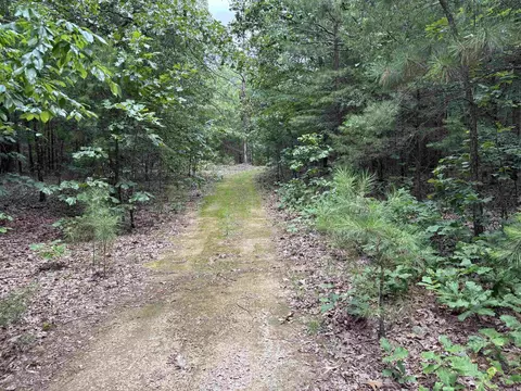 248 Rambo Loop, Searcy, AR 72143 photo 39