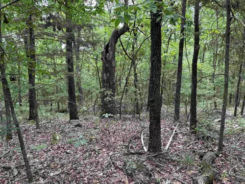 248 Rambo Loop, Searcy, AR 72143 photo 37