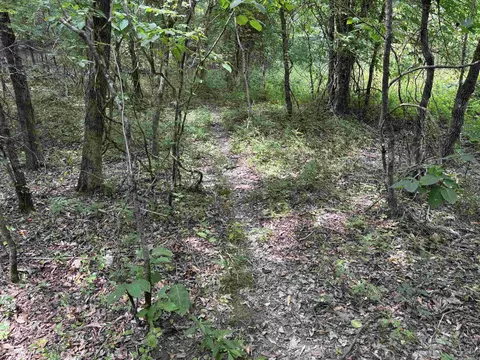 248 Rambo Loop, Searcy, AR 72143 photo 3