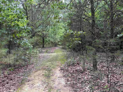248 Rambo Loop, Searcy, AR 72143 photo 40