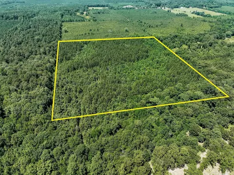 0000 Deal Rd, Monticello, AR 71655
