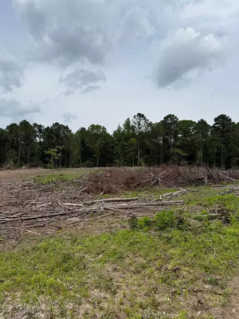2367 346 Hwy, Amity, AR 71921 photo 9