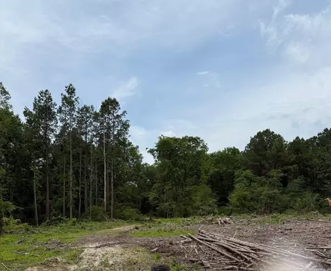 2367 346 Hwy, Amity, AR 71921 photo 10