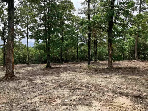 533 Eagle Vw, Clinton, AR 72031 photo 3