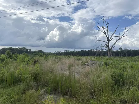 Rosswood Rd., Pine Bluff, AR 71603 photo 2