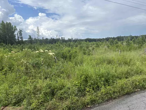 Rosswood Rd., Pine Bluff, AR 71603 photo 5