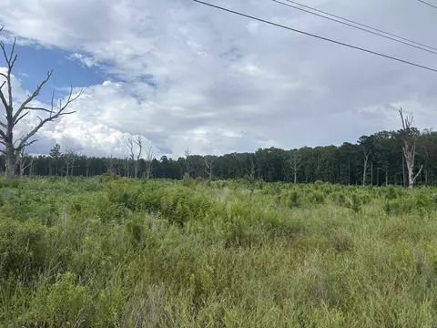 Rosswood Rd., Pine Bluff, AR 71603 photo 3