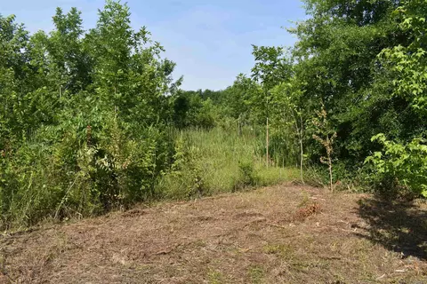 0000 E 12th St, Danville, AR 72833 photo 33