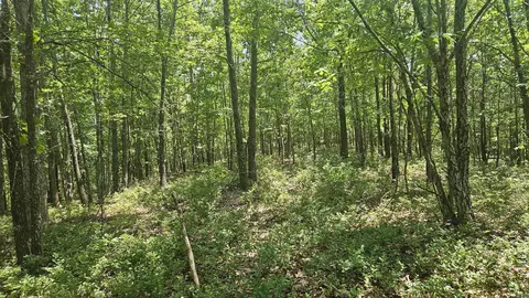 Mc 2084, Peel, AR 72668 photo 16