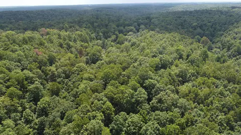 Mc 2084, Peel, AR 72668 photo 3