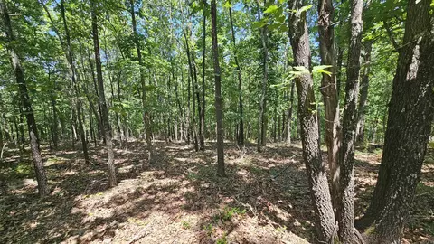 Mc 2084, Peel, AR 72668 photo 7