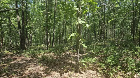 Mc 2084, Peel, AR 72668 photo 9