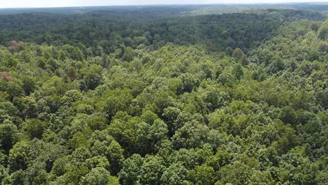 Mc 2084, Peel, AR 72668 photo 6