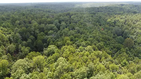 Mc 2084, Peel, AR 72668 photo 5