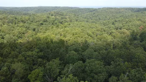 Mc 2084, Peel, AR 72668 photo 15