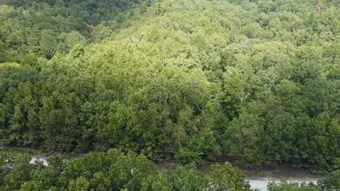 Mc 2084, Peel, AR 72668 photo 14