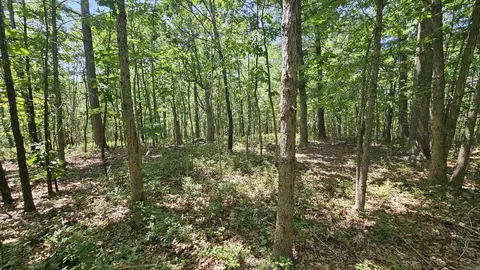 Mc 2084, Peel, AR 72668 photo 8