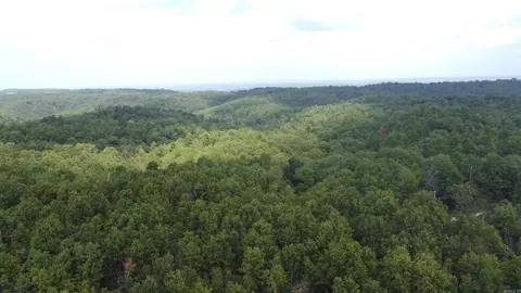 Mc 2084, Peel, AR 72668 photo 13
