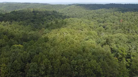 Mc 2084, Peel, AR 72668 photo 4