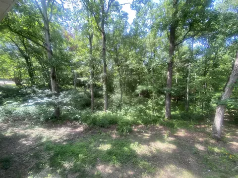 177 Bearce Cir, Mount Ida, AR 71957 photo 34