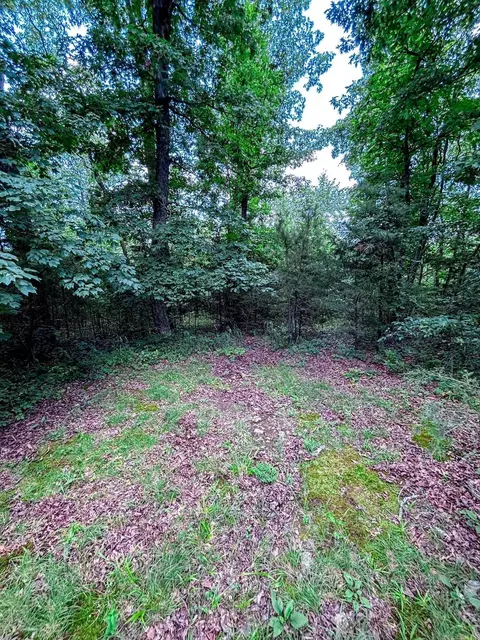 12018 Highway 254, Dennard, AR 72629 photo 7