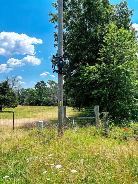 12018 Highway 254, Dennard, AR 72629 photo 17