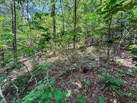 12018 Highway 254, Dennard, AR 72629 photo 11