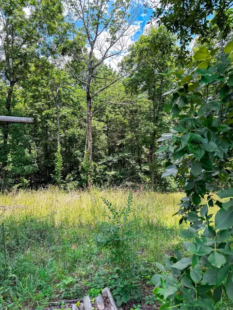 12018 Highway 254, Dennard, AR 72629 photo 15