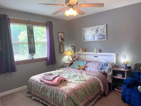 303 Whitewater Dr, Mountain View, AR 72560 photo 18