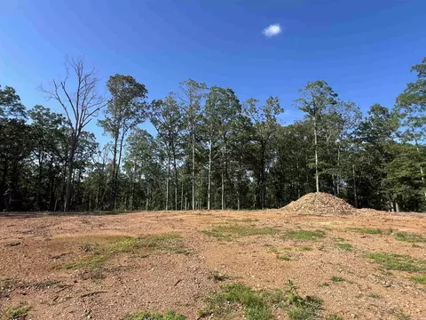 4802 Reed Ln, Alexander, AR 72002 photo 6