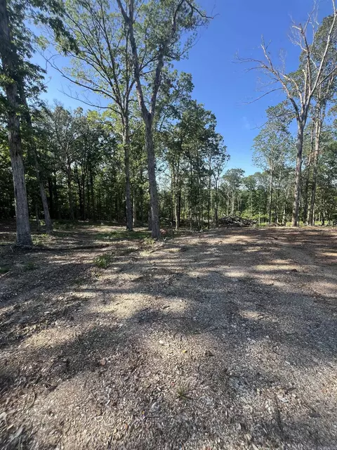 4802 Reed Ln, Alexander, AR 72002 photo 3