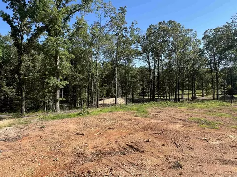 4802 Reed Ln, Alexander, AR 72002 photo 5