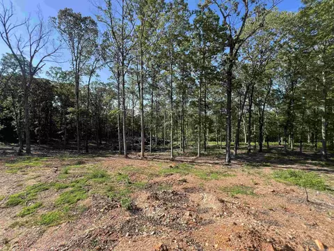 4802 Reed Ln, Alexander, AR 72002 photo 7