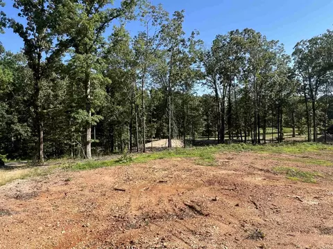4802 Reed Ln, Alexander, AR 72002 photo 4
