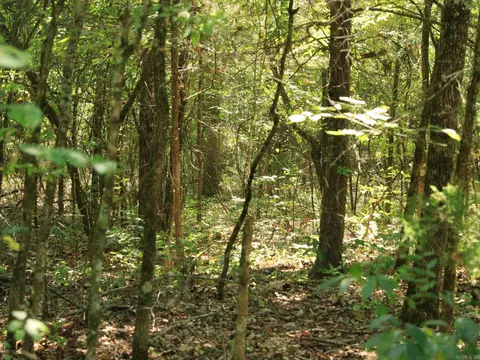 210 E Bo Peep Ln, Horseshoe Bend, AR 72512