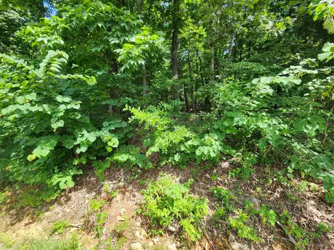 L37b12 N Lakeshore Circle, Cherokee Village, AR 72529