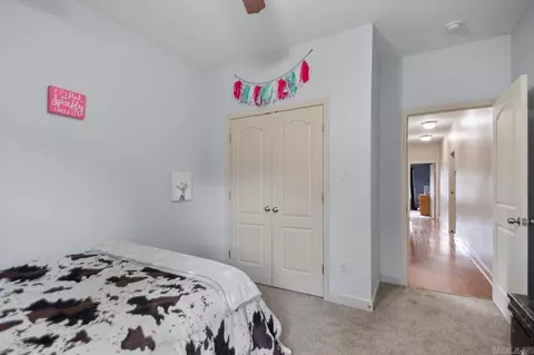 3906 Edgewater Dr, Benton, AR 72019 photo 22
