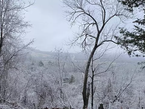 Other - 493 Crow Dr, Marshall, AR 72650 photo 2 of 5