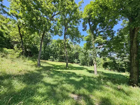 Exterior - 493 Crow Dr, Marshall, AR 72650 photo 12 of 17