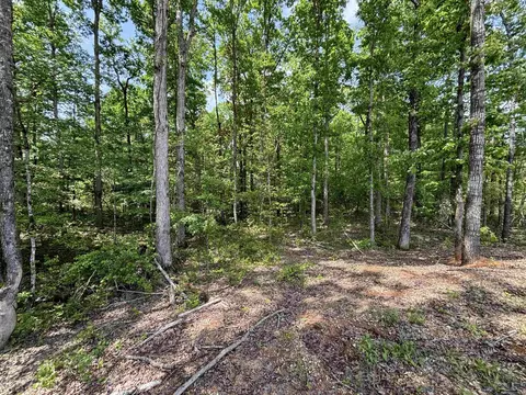 lot23 Grant County Road 763, Sheridan, AR 72150