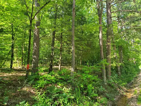 tbd Polk 69, Mena, AR 71953 photo 16