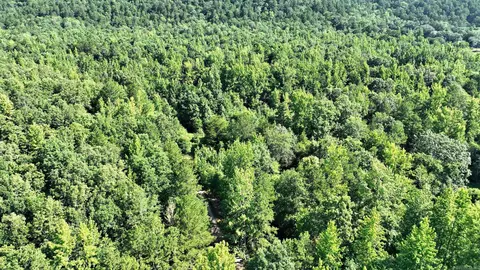 tbd Polk 69, Mena, AR 71953 photo 25