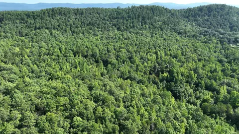 tbd Polk 69, Mena, AR 71953 photo 23