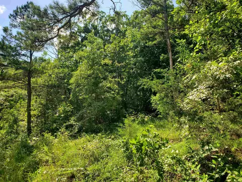 tbd Polk 69, Mena, AR 71953 photo 15