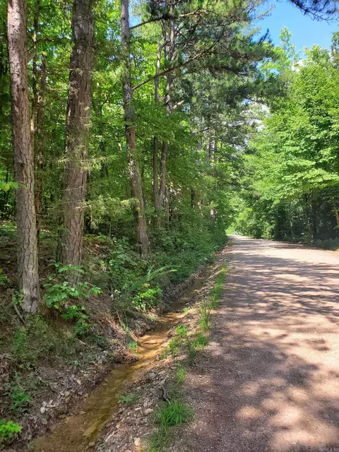 tbd Polk 69, Mena, AR 71953 photo 5