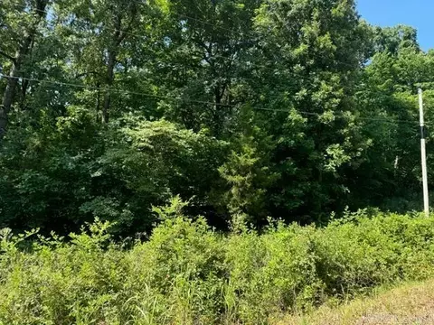 tbd Springview Rd, Pocahontas, AR 72455 photo 3