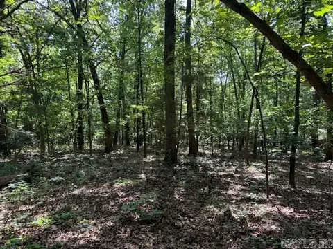 tbd Springview Rd, Pocahontas, AR 72455 photo 5