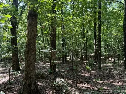 tbd Springview Rd, Pocahontas, AR 72455 photo 4